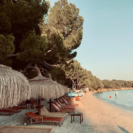 New! Orquidea - Walking Distance To Village Villa
